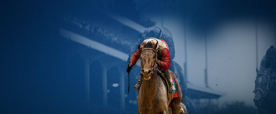 Kentucky Derby 2014 contenders